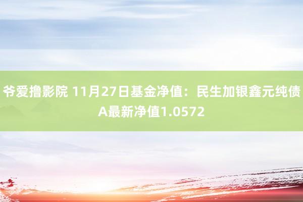 爷爱撸影院 11月27日基金净值：民生加银鑫元纯债A最新净值1.0572