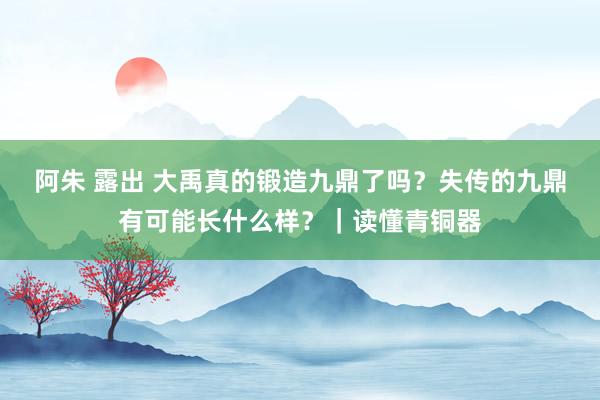 阿朱 露出 大禹真的锻造九鼎了吗？失传的九鼎有可能长什么样？｜读懂青铜器