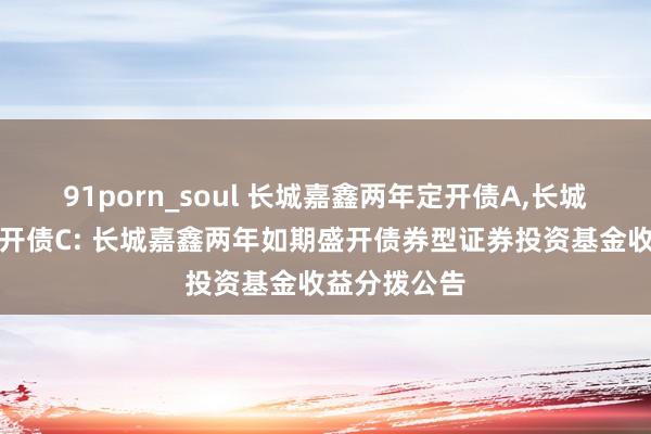 91porn_soul 长城嘉鑫两年定开债A，长城嘉鑫两年定开债C: 长城嘉鑫两年如期盛开债券型证券投资基金收益分拨公告