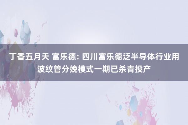 丁香五月天 富乐德: 四川富乐德泛半导体行业用波纹管分娩模式一期已杀青投产