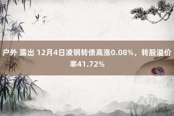 户外 露出 12月4日凌钢转债高涨0.08%，转股溢价率41.72%