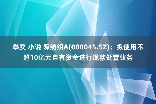 拳交 小说 深纺织A(000045.SZ)：拟使用不超10亿元自有资金进行现款处置业务