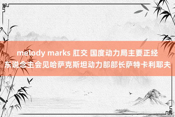 melody marks 肛交 国度动力局主要正经东说念主会见哈萨克斯坦动力部部长萨特卡利耶夫