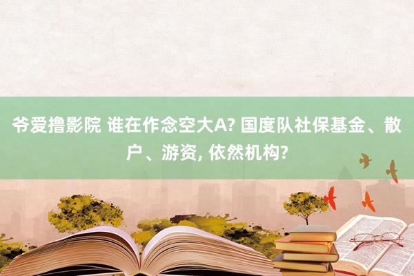 爷爱撸影院 谁在作念空大A? 国度队社保基金、散户、游资， 依然机构?