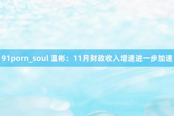 91porn_soul 温彬：11月财政收入增速进一步加速