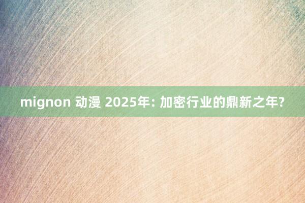 mignon 动漫 2025年: 加密行业的鼎新之年?