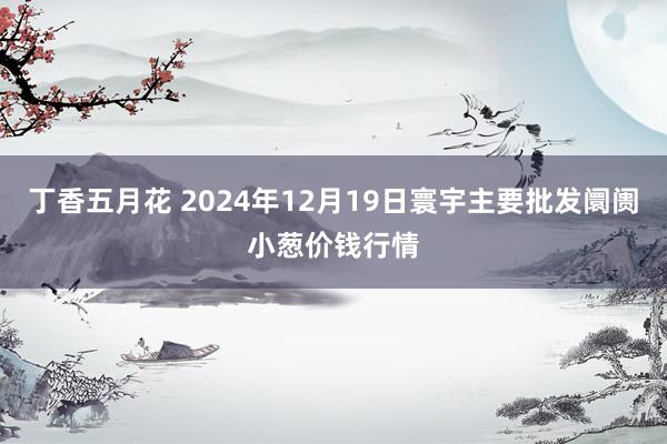 丁香五月花 2024年12月19日寰宇主要批发阛阓小葱价钱行情