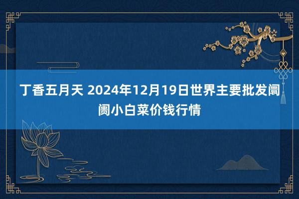 丁香五月天 2024年12月19日世界主要批发阛阓小白菜价钱行情