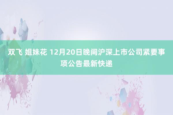 双飞 姐妹花 12月20日晚间沪深上市公司紧要事项公告最新快递