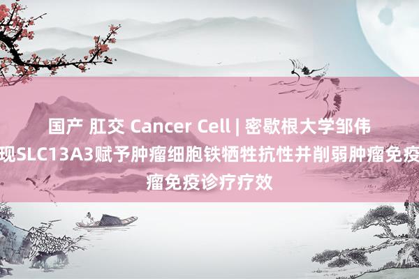 国产 肛交 Cancer Cell | 密歇根大学邹伟平团队发现SLC13A3赋予肿瘤细胞铁牺牲抗性并削弱肿瘤免疫诊疗疗效