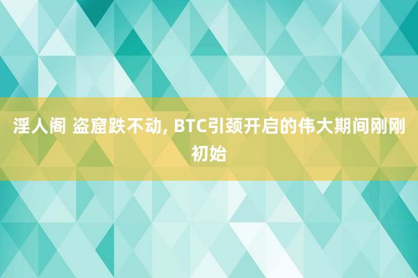 淫人阁 盗窟跌不动， BTC引颈开启的伟大期间刚刚初始