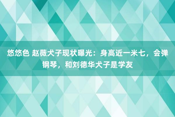 悠悠色 赵薇犬子现状曝光：身高近一米七，会弹钢琴，和刘德华犬子是学友