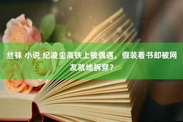 丝袜 小说 纪凌尘高铁上被偶遇，假装看书却被网友就地拆穿？