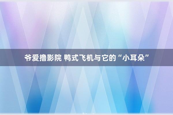 爷爱撸影院 鸭式飞机与它的“小耳朵”