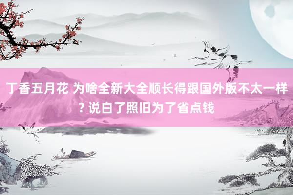 丁香五月花 为啥全新大全顺长得跟国外版不太一样? 说白了照旧为了省点钱