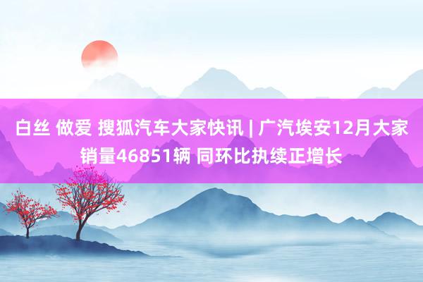 白丝 做爱 搜狐汽车大家快讯 | 广汽埃安12月大家销量46851辆 同环比执续正增长