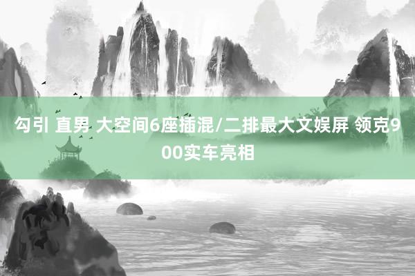 勾引 直男 大空间6座插混/二排最大文娱屏 领克900实车亮相