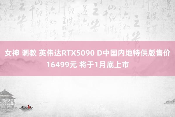 女神 调教 英伟达RTX5090 D中国内地特供版售价16499元 将于1月底上市