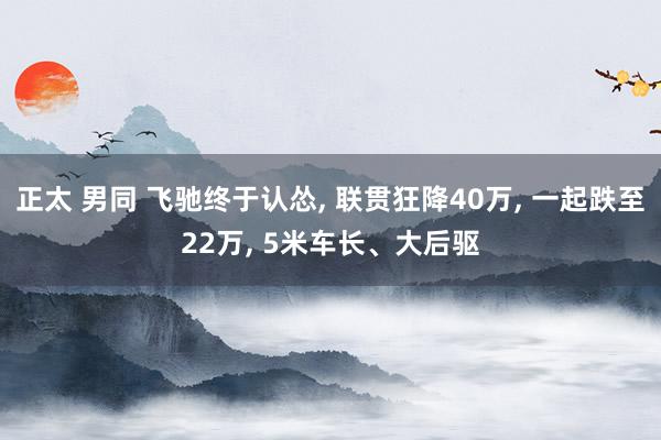 正太 男同 飞驰终于认怂， 联贯狂降40万， 一起跌至22万， 5米车长、大后驱