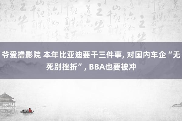 爷爱撸影院 本年比亚迪要干三件事， 对国内车企“无死别挫折”， BBA也要被冲