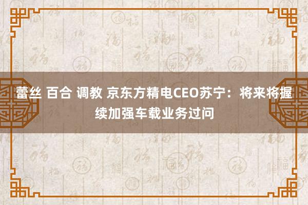 蕾丝 百合 调教 京东方精电CEO苏宁：将来将握续加强车载业务过问