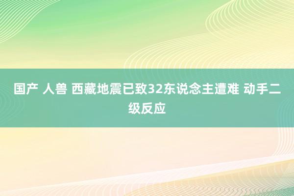 国产 人兽 西藏地震已致32东说念主遭难 动手二级反应