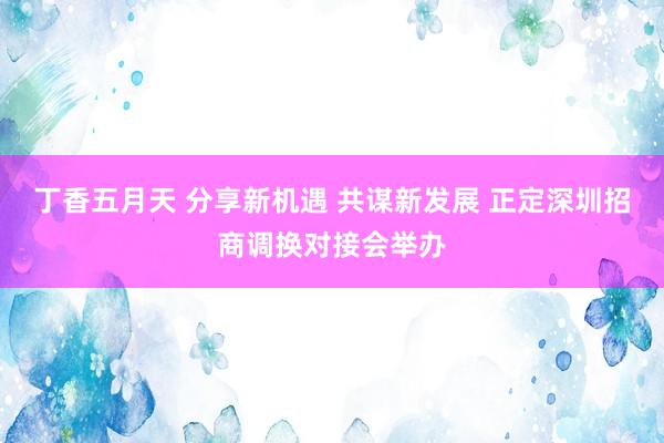 丁香五月天 分享新机遇 共谋新发展 正定深圳招商调换对接会举办