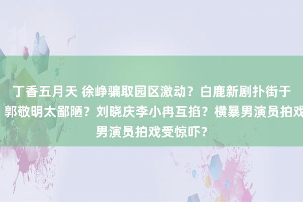 丁香五月天 徐峥骗取园区激动？白鹿新剧扑街于正发疯？郭敬明太鄙陋？刘晓庆李小冉互掐？横暴男演员拍戏受惊吓？