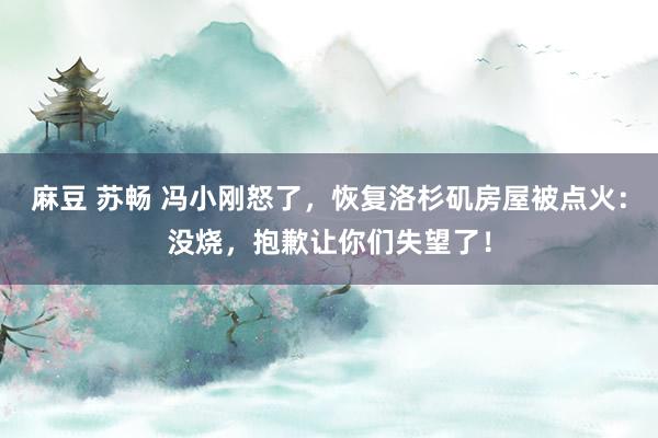 麻豆 苏畅 冯小刚怒了，恢复洛杉矶房屋被点火：没烧，抱歉让你们失望了！